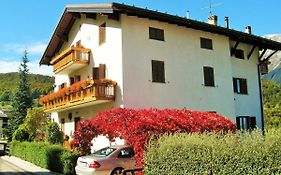 Alla casa del cedro